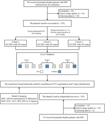 A transformer-based multi-task deep learning model for simultaneous T-stage identification and segmentation of nasopharyngeal carcinoma